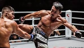 Yoshihiro Akiyama Merchandise: 5 Must-Have Items for MMA Fans