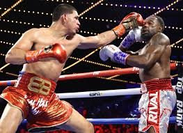Edgar Berlanga Official Shop: Inside the Boxer’s Gear Hub