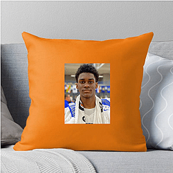 Daniel Johnson The World Is A Court Daniel Johnson Pillows Cover