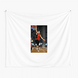 Daniel Johnson A True Masterpiece Daniel Johnson Tapestries