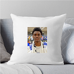 Daniel Johnson The World Is A Court Daniel Johnson Pillows Cover