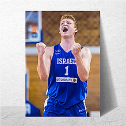 Versatile Power Forward Danny Wolf Posters