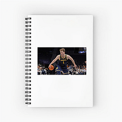 Promising Young Talent Danny Wolf Notebook