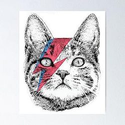 Ziggy Stardust Cat  David Bowie Tee, WoAll Sizes Poster
