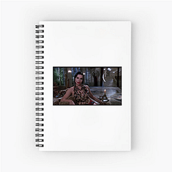 Death Becomes Her won an Academy Award Death Becomes Her Notebook