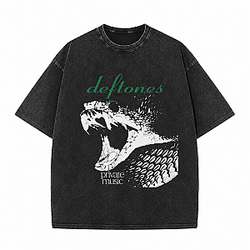 Deftones Snake Graphic HTCT3107 Deftones T-Shirts