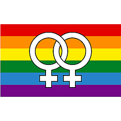 Pride Homosexual Rainbow Flag - Large2 PN0112
