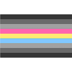 Gray Pansexual Pride Flag PN0112