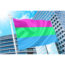 Polysexual Pride Flag PN0112