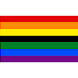 Black Gay Pride Flag PN0112