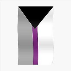Demisexual Posters - Demisexual Pride Flag Vertical Poster RB0403