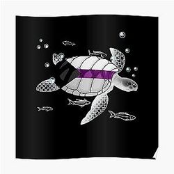 Demisexual Posters - Demisexual Turtle Poster RB0403