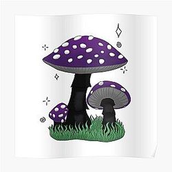 Demisexual Posters - Pride Mushrooms: Demisexual/Asexual Flag Poster RB0403