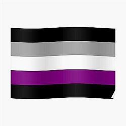 Demisexual Posters - Demisexual Pride Stripes Poster RB0403