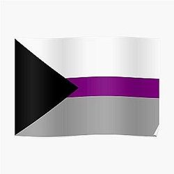 Demisexual Posters - Demisexual Pride Flag Poster RB0403