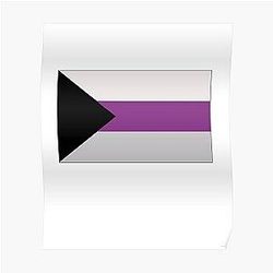 Demisexual Posters - Demisexual Flag Demisexual Activism Demisexual Flag Demisexual Colors Demisexual Supporter Funny Demisexual Meme Gift Demisexuality Gift LGBT LGBTQ Gay Poster RB0403
