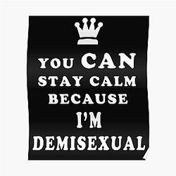 Demisexual Posters - Demisexual You Can Stay Calm Because I am Demisexual Poster RB0403