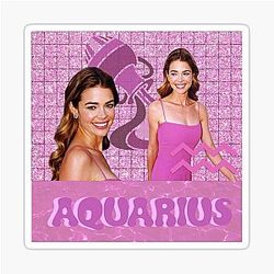 Real Housewives of Aquarius with Denise Richards Sticker