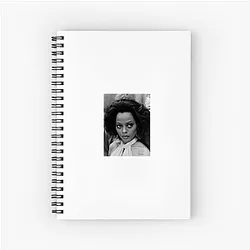 Diana Ross rose to fame as the lead singer of The Supremes Diana Ross Notebook