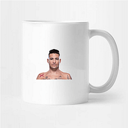 Octagon Veteran Diego Sanchez Mugs
