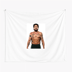 KOTC Champion Diego Sanchez Tapestries