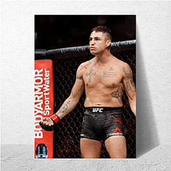 UFC Warrior Diego Sanchez Posters