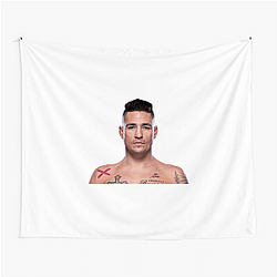 Octagon Veteran Diego Sanchez Tapestries