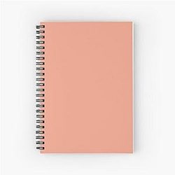 New Low Crimson Uk DJ Khaled Air Spiral Notebook