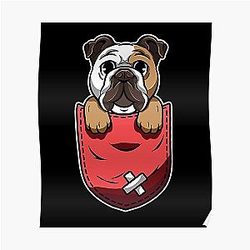 Dog In Pocket Posters - Dog in your pocket Poster RB1011