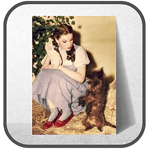Dorothy Gale Posters