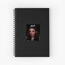 Dorothy Gale is the main character of The Wizard of Oz Dorothy Gale Notebook
