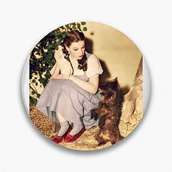 Dorothy Gale wants to return to her home Dorothy Gale Pins