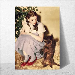 Dorothy Gale wants to return to her home Dorothy Gale Posters