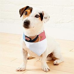 Drake J Cole Kendrick Lamar Camisa Pet Bandanas Premium Merch Store