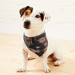 Care Pet Bandanas 프리미엄 머치 스토어