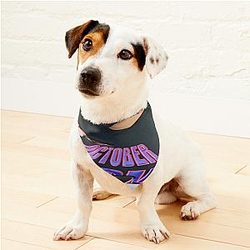 Drake Zijn Drake Huisdier Bandanas Premium Merch Store