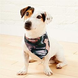 Rapper Jahrgang Draker Pet Bandanas Premium Merch Store