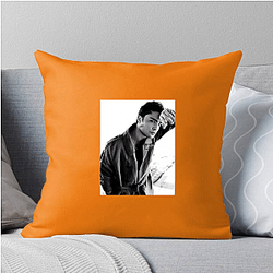 Ed Westwick also starred in the series White Gold Ed Westwick Pillows Cover