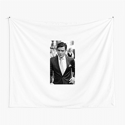 Ed Westwick is known for playing dramatic anti heroes Ed Westwick Tapestries