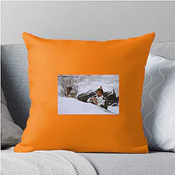 Elf Film No Limits Just Cheer Elf Film Pillows Cover