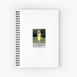 Elizabeth Banks directed the film Charlie's Angels Elizabeth Banks Notebook