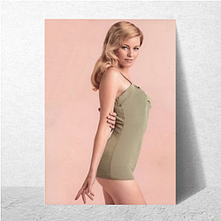 Elizabeth Banks is known for her role in The Hunger Games Elizabeth Banks Posters