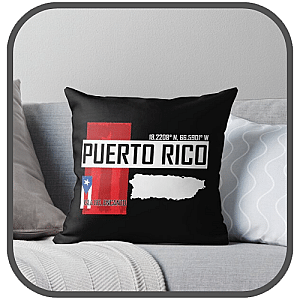 Encanto Pillows Cover