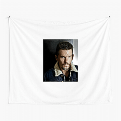 Ethan Hawke starred in the series Moon Knight Ethan Hawke Tapestries