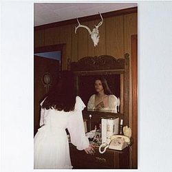 ethel cain mirror Poster