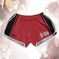Haikyuu Beach Shorts for Her - Haikyuu Beach Shorts for Her - Haikyuu Cosplay Costumes Red Swimming Beach Shorts