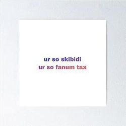 You're so Skibidi, your tax Poster