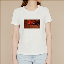 Fellowship's main characters are Frodo, Gandalf, and Aragorn Fellowship T-Shirts