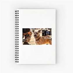 Human-Robot Bond Finch Notebook