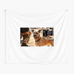 Human-Robot Bond Finch Tapestries
